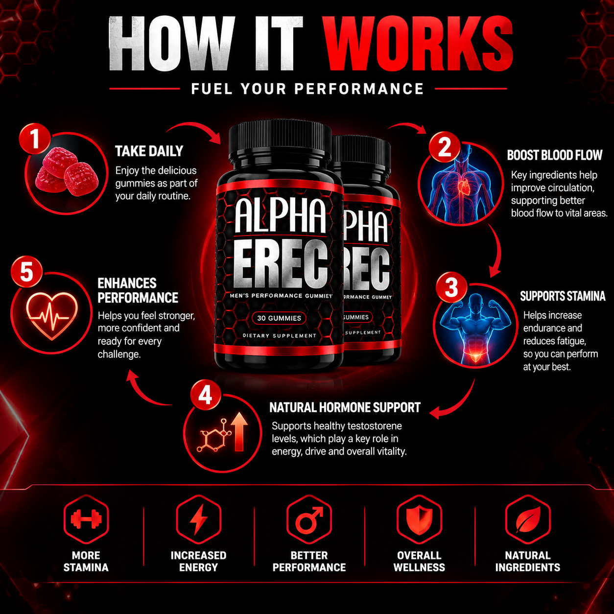 How AlphaErec works — fuel your performance with better blood flow, stamina, hormone support and energy
